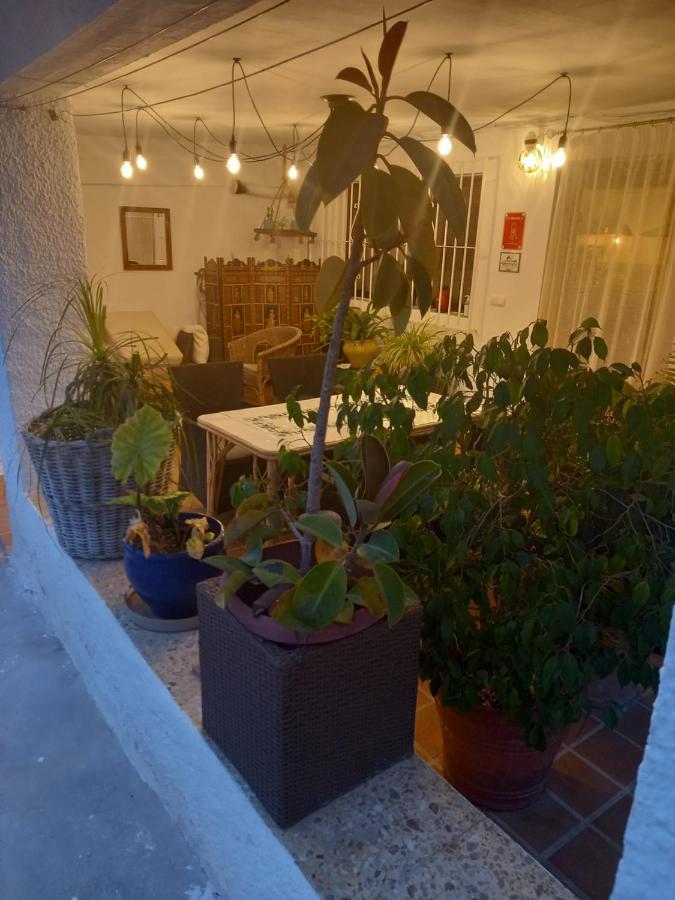 Vila Casa Eline De Lujo Casco Antiguo Altea Piscina Privada Y Jardin Exteriér fotografie