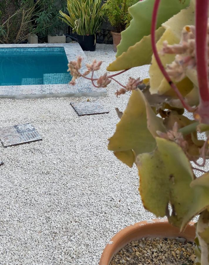 Vila Casa Eline De Lujo Casco Antiguo Altea Piscina Privada Y Jardin Exteriér fotografie