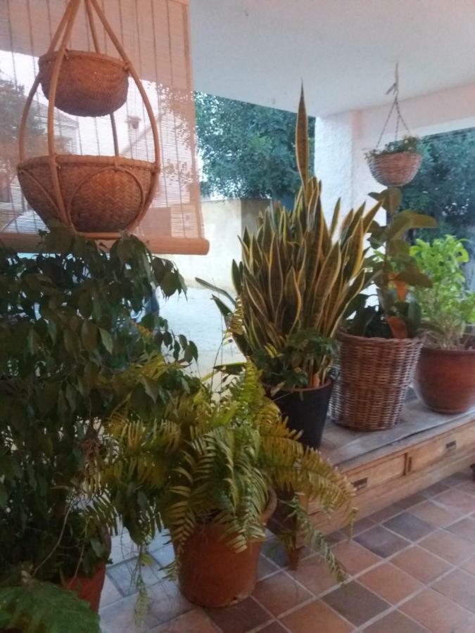 Vila Casa Eline De Lujo Casco Antiguo Altea Piscina Privada Y Jardin Exteriér fotografie